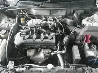 Стойка Nissan Bluebird Sylphy Уссурийск