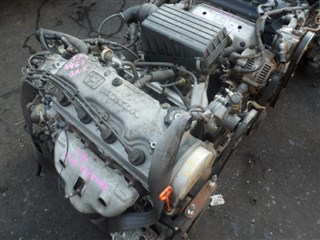 Двигатель Honda Logo Владивосток