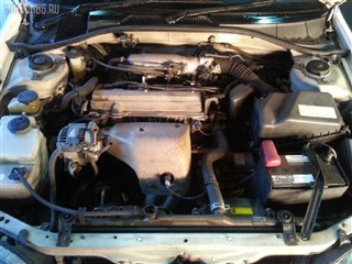 Зеркало Toyota Caldina Владивосток