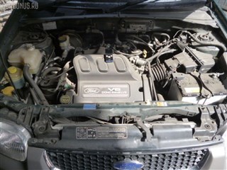 Двигатель Ford Escape Новосибирск