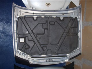 Капот Nissan Avenir Новосибирск