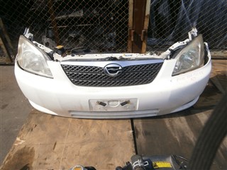 Nose cut Toyota Allex Владивосток