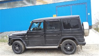 Стекло собачника Mercedes-Benz G-Class Владивосток