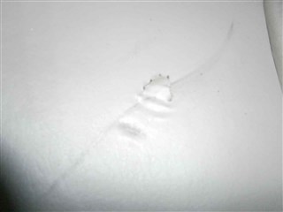 Обшивка багажника Lexus LX470 Владивосток