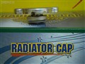 Крышка радиатора для Nissan Tiida Latio