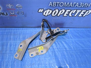 Петля капота Toyota Passo Владивосток