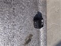 Кнопка для Nissan Patrol