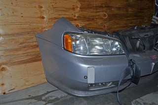 Nose cut Honda Saber Новосибирск