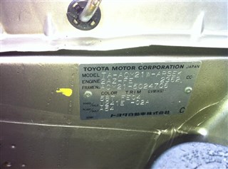 Крыло Toyota Ipsum Владивосток