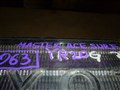 Решетка радиатора для Toyota Masterace Surf
