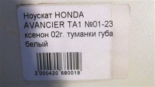 Nose cut Honda Avancier Новосибирск