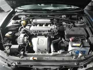 Крышка багажника Toyota Curren Уссурийск