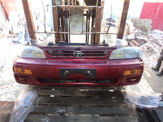 Nose cut Toyota Scepter Владивосток